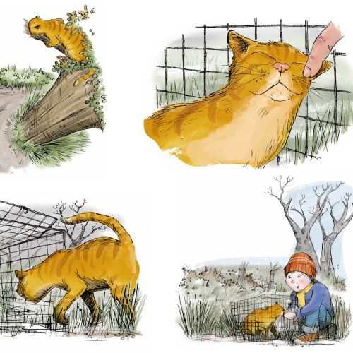 Story board about stray cat in a cage