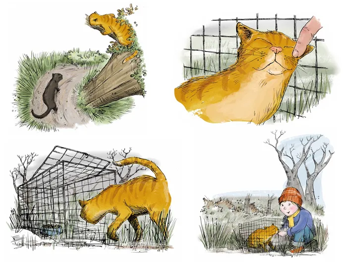 Story board about stray cat in a cage