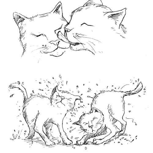 Black and white illustration of two wet cats washing and shaking themselves