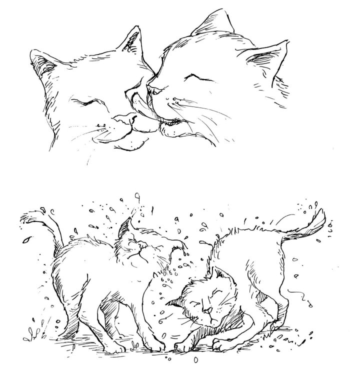 Ilustración en blanco y negro de dos gatos mojados lavándose y sacudiéndose
