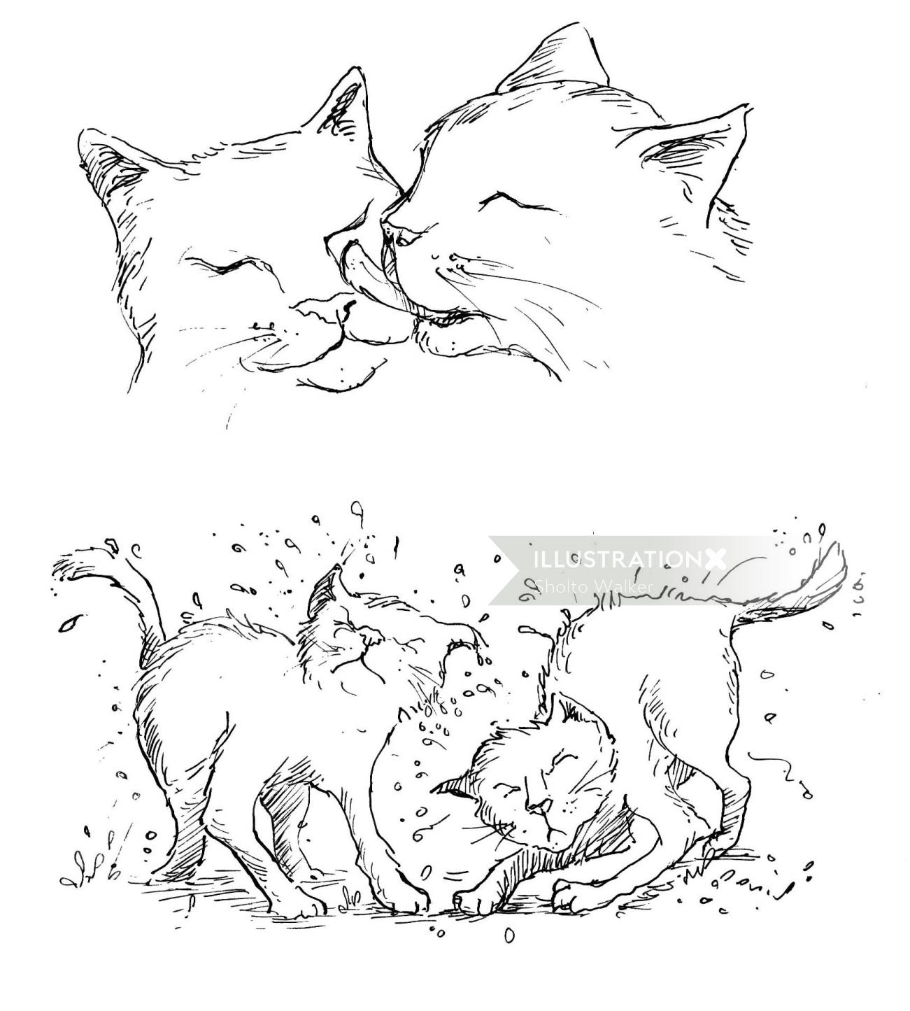 Ilustração em preto e branco de dois gatos molhados se lavando e se sacudindo