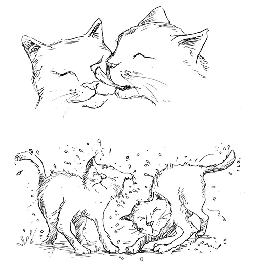 Black and white illustration of two wet cats washing and shaking themselves