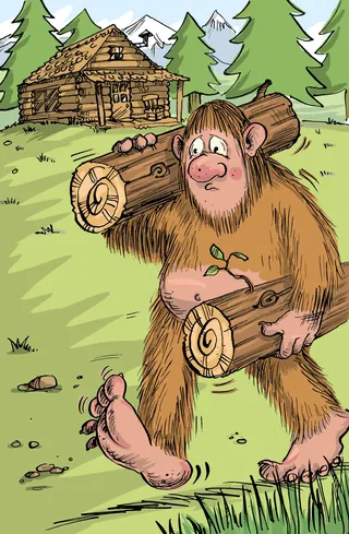 Sad Bigfoot carrying logs in forest near cabin, illustration by Sholto Walker