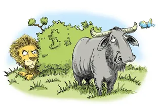 Cartoon lion stalking a wildebeest with butterfly flying nearby