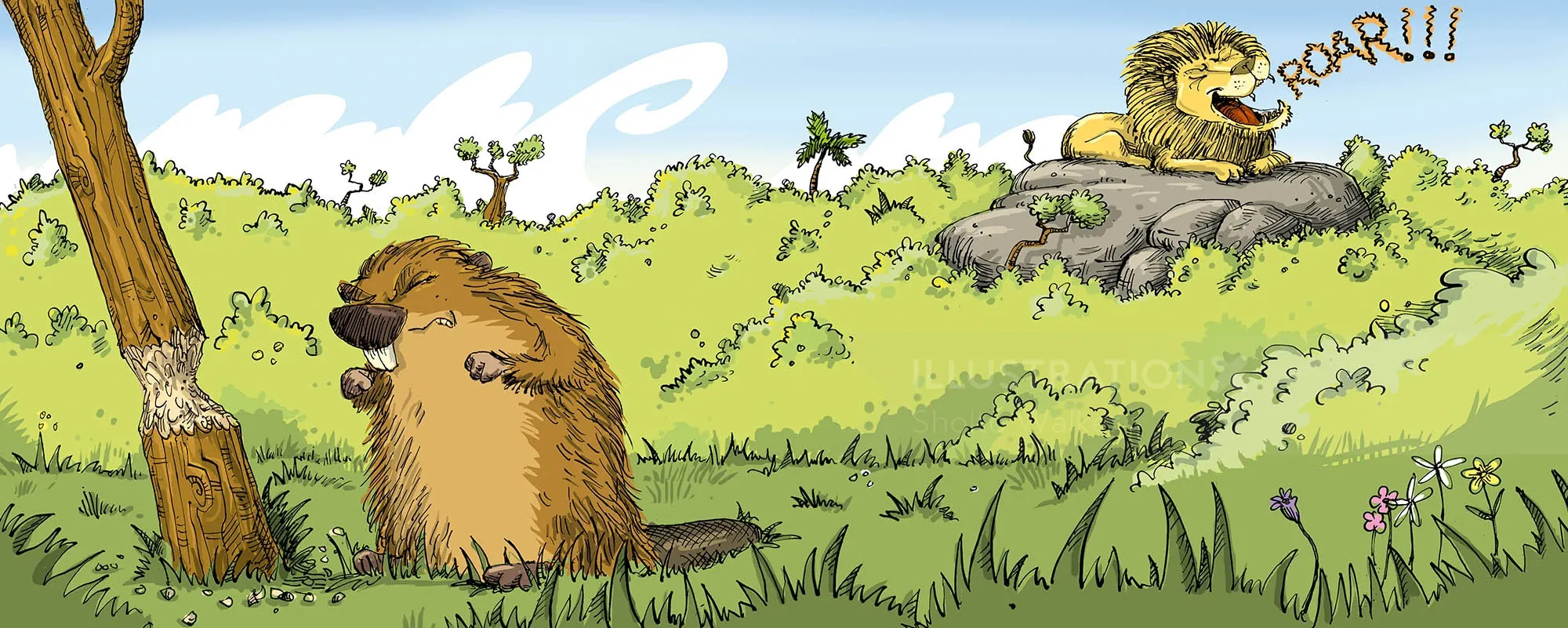 Beaver cringing at a roaring lion in a grassy landscape