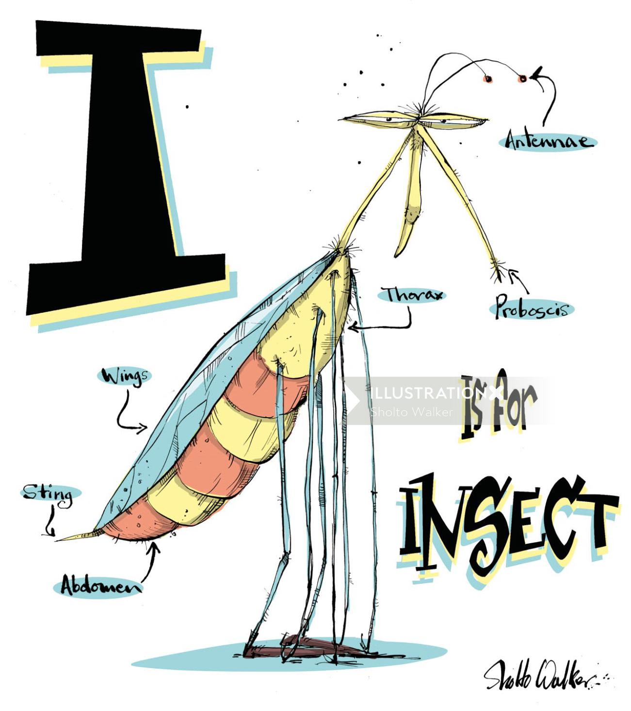 Illustration des insectes | Galerie de style humoristique
