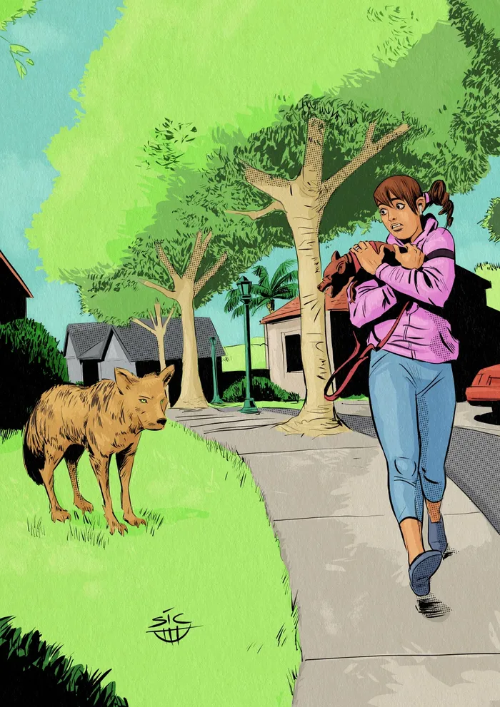 Editorial illustration on protecting dog