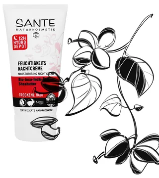 Beauty Illustration Sante
