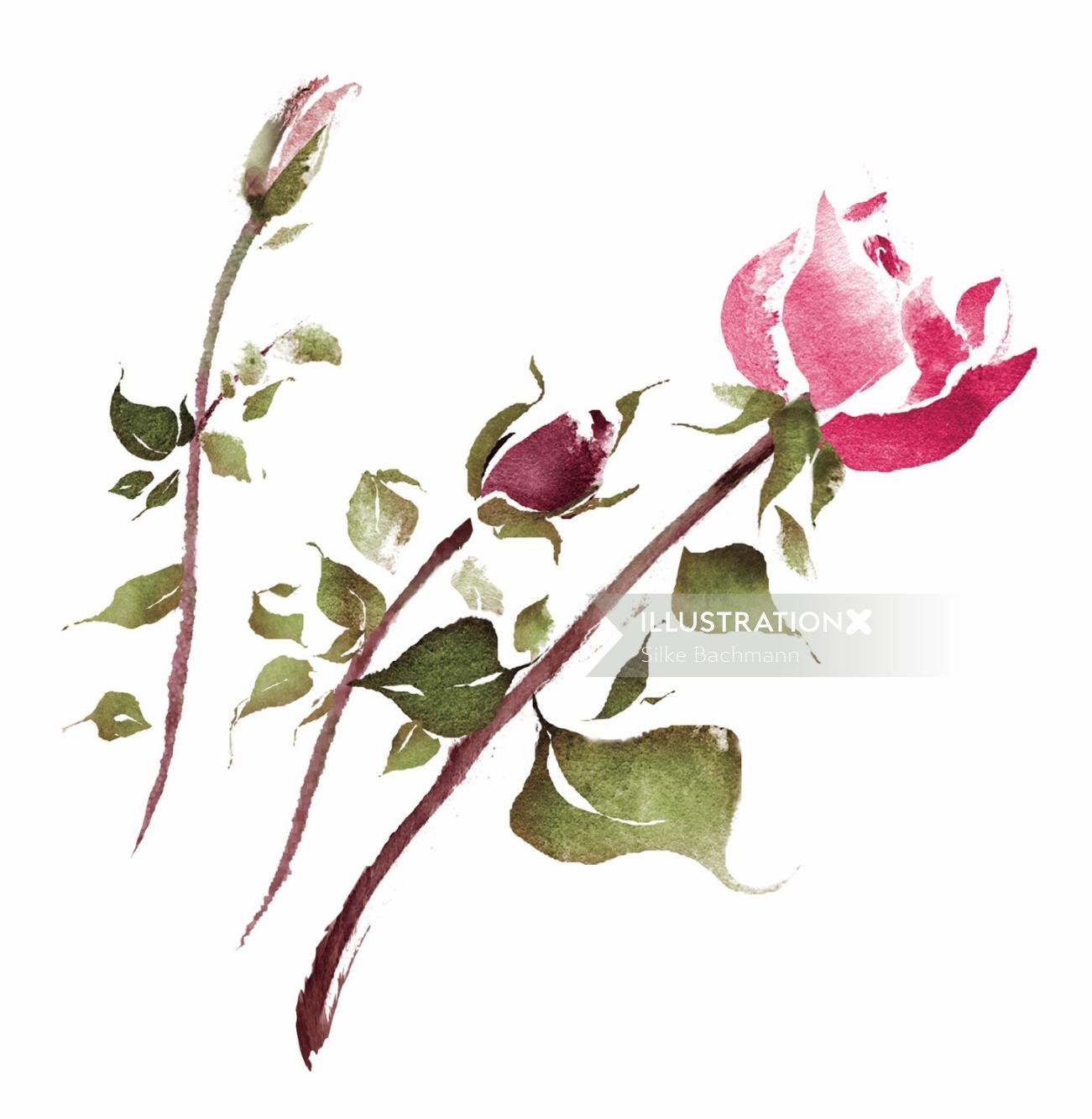 Fleurs roses en vrac