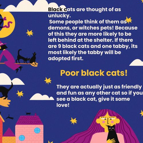 SMOOCH Magazine spread features black cat info and matching playful illustration