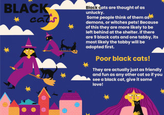 SMOOCH Magazine spread features black cat info and matching playful illustration