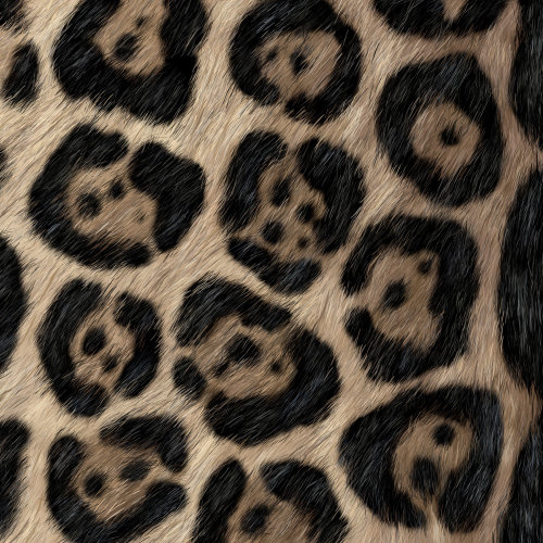 Animals Up close detail of Jaguar fur.
