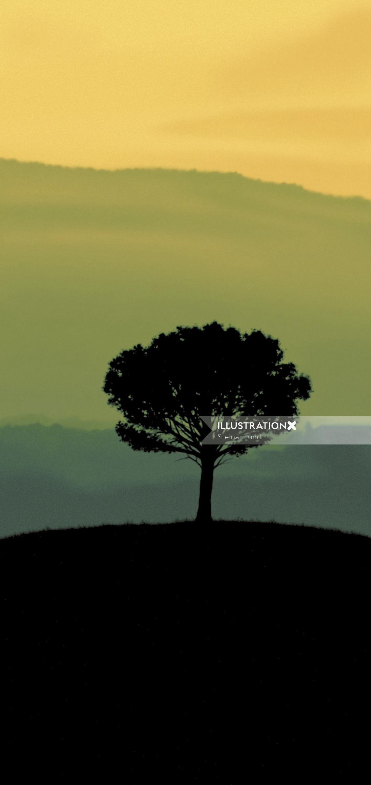 Silhouette d&#39;arbre dans un paysage verdoyant pour Sainsburys