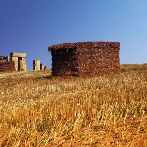 Stonehenge with hay stacks illustration
