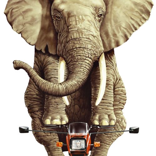 Elephant riding small motorbike illustration
