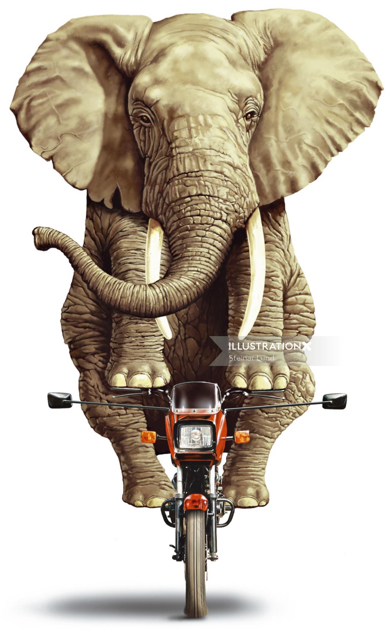 Éléphant, équitation, petite moto, illustration