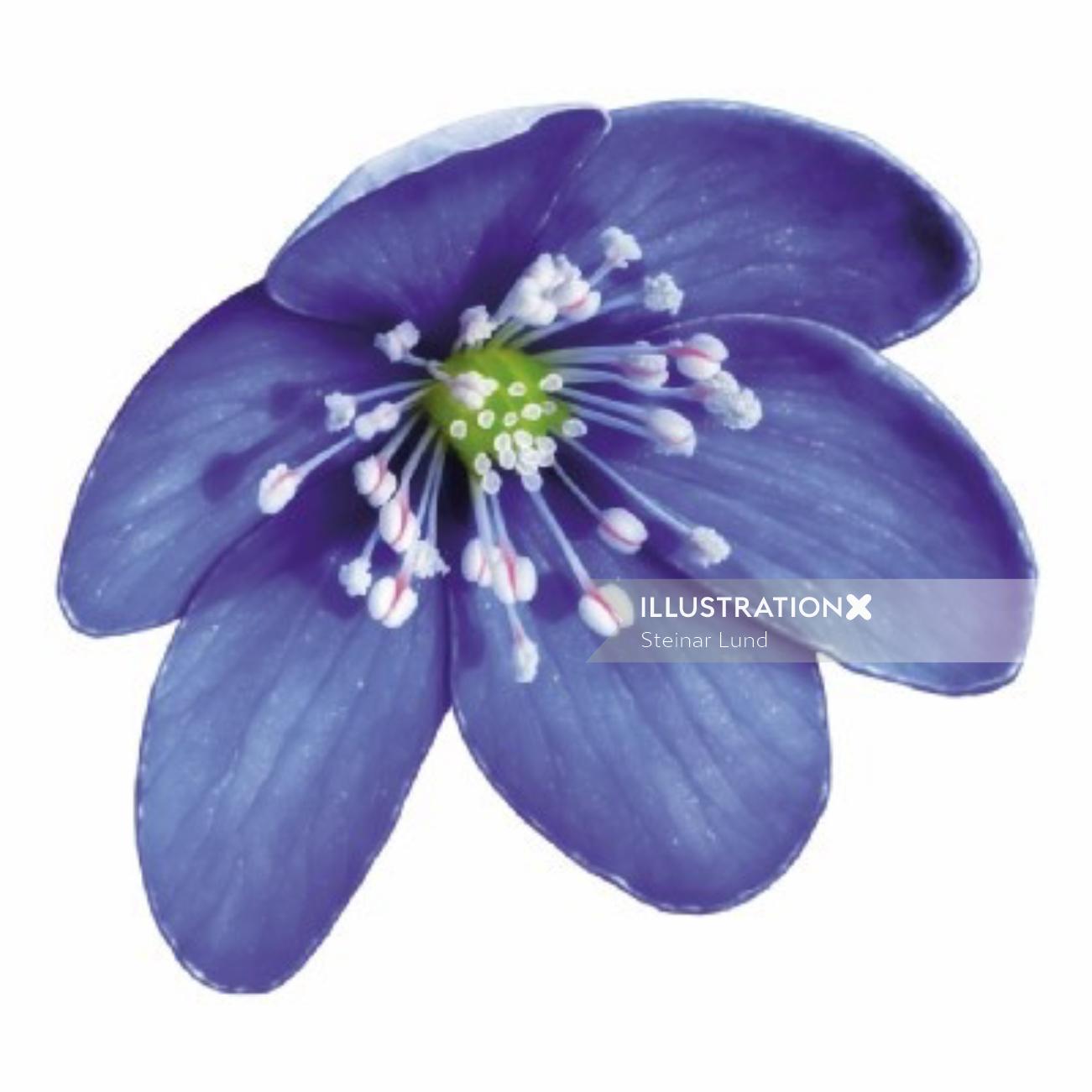Pintura de flor azul