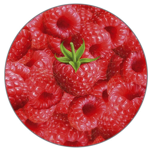Raspberries illustration