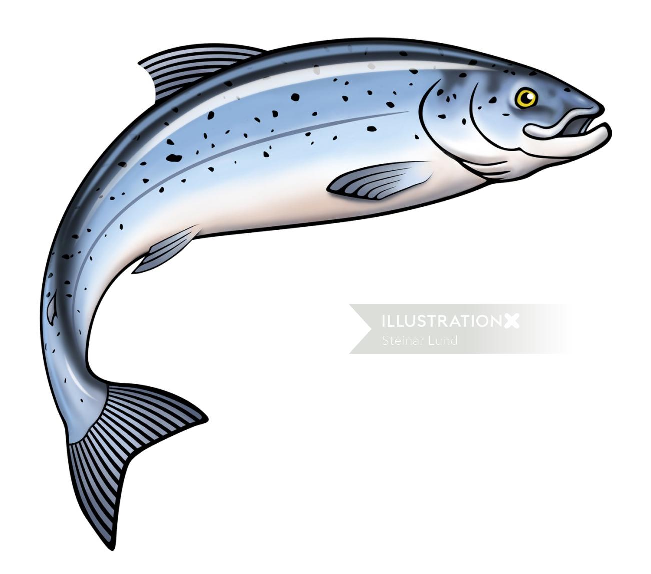 Ilustração gráfica de peixe salmão