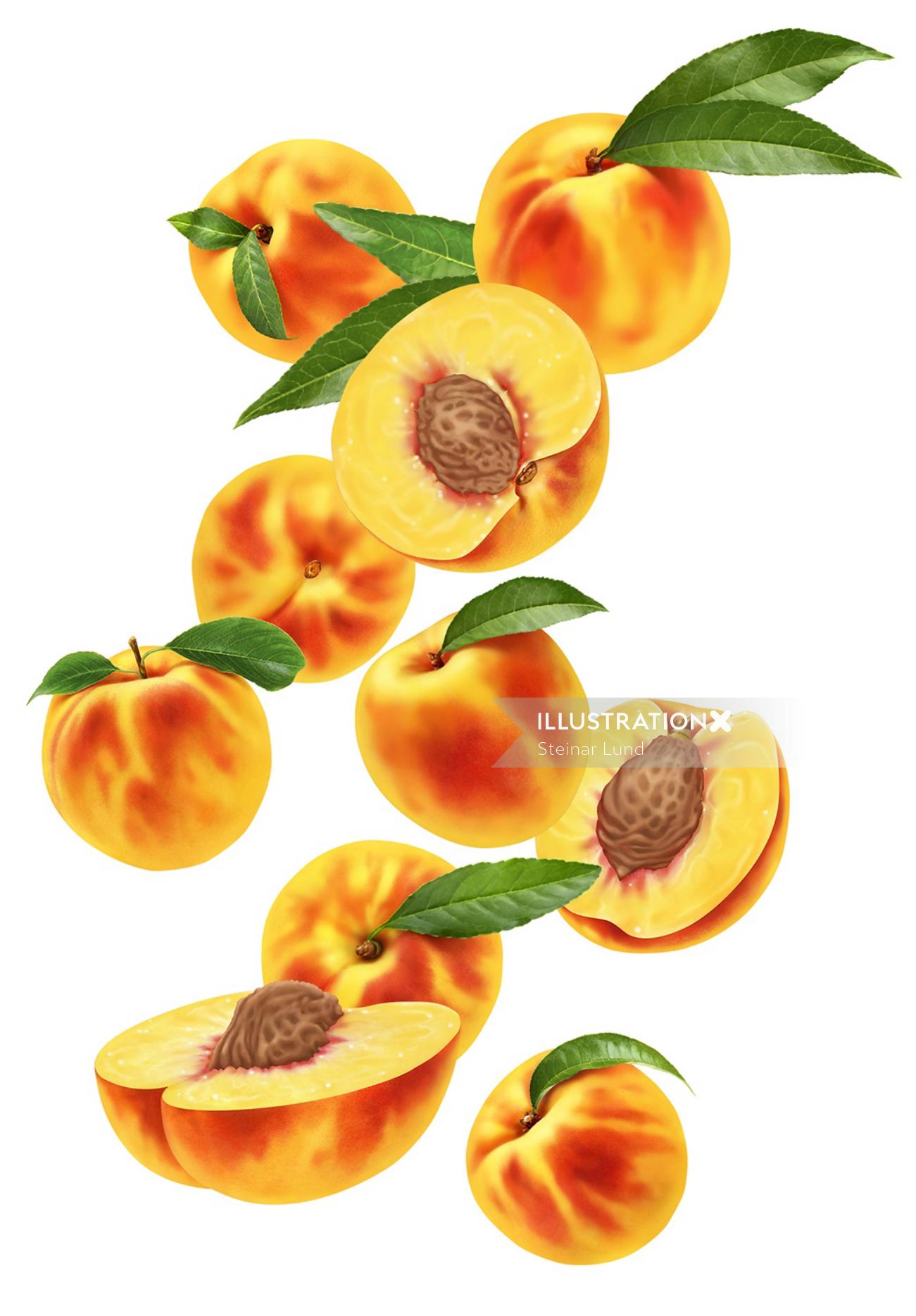 Ilustração de fruta pêssegos