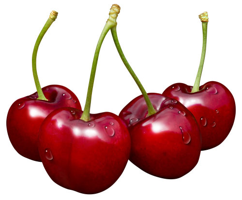 Illustration of Cherries