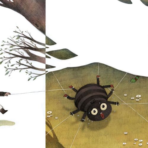 Children Illustration monkey and spider
