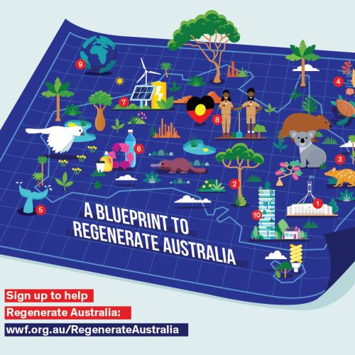 WWF blueprint map showing Australian ecosystems and wildlife by Stuart Holmes