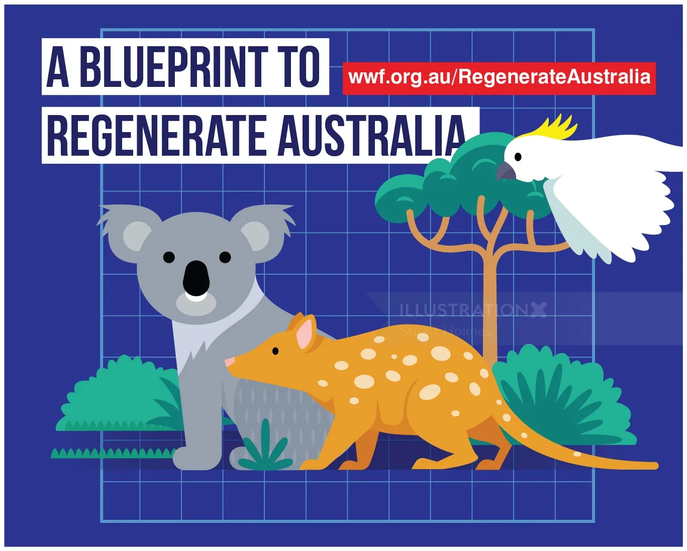 Illustration of koala, numbat, cockatoo with tree on blueprint background by Stuart Holmes