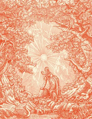 Etching-style illustration of woman in forest clearing with bright sun