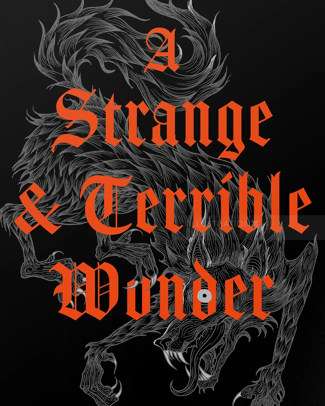 Studio Duco gothic cover for A Strange & Terrible Wonder