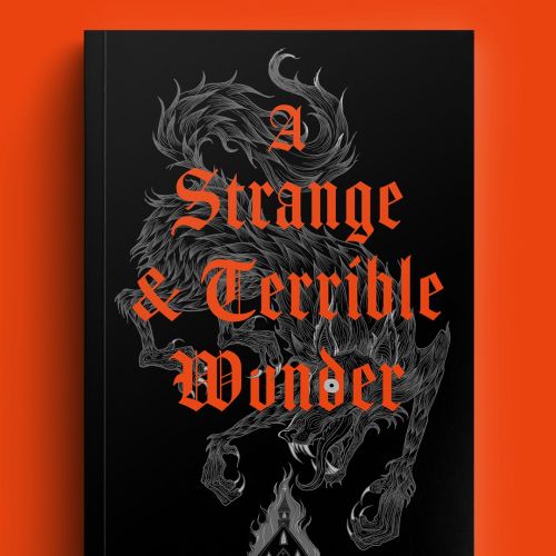 A Strange & Terrible Wonder book cover by Studio Duco