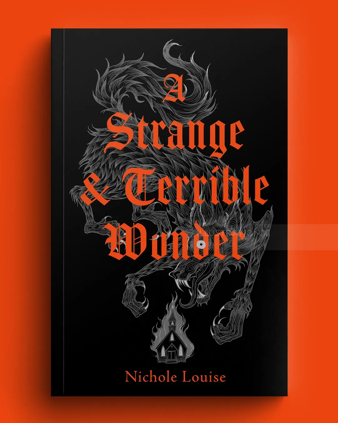 A Strange & Terrible Wonder book cover by Studio Duco