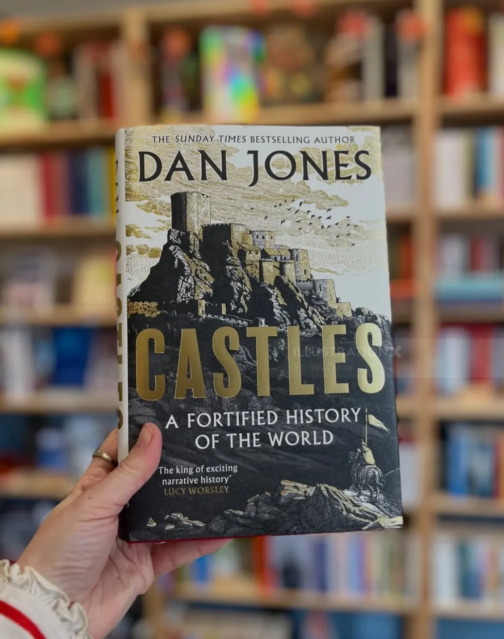 Studio Duco photograph of the Castles book cover held before a bookshelf