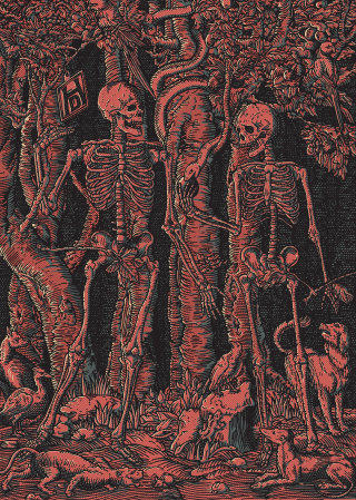 Ilustración del cráneo de los hermanos jake y dinos 