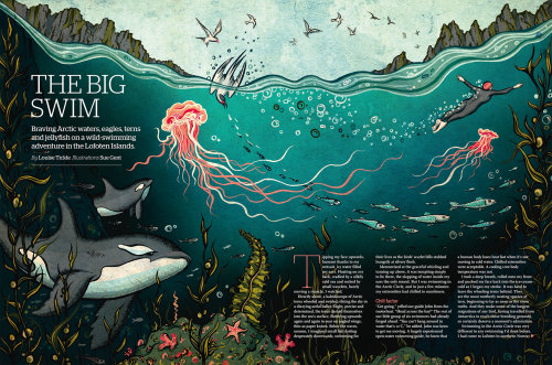 Ilustração de água-viva para o grande mergulho