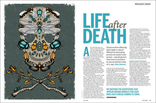 Vida editorial após a morte