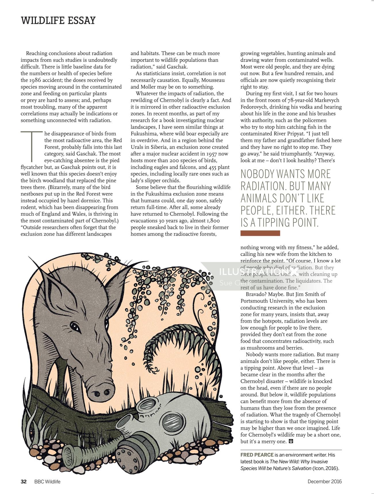 Editorial illustration of pig and mask
