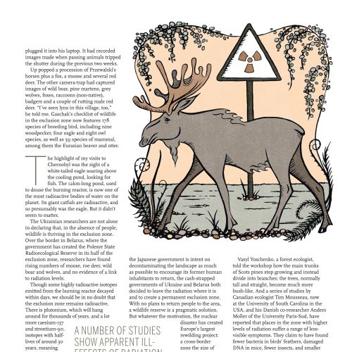Editorial illustration of reindeer
