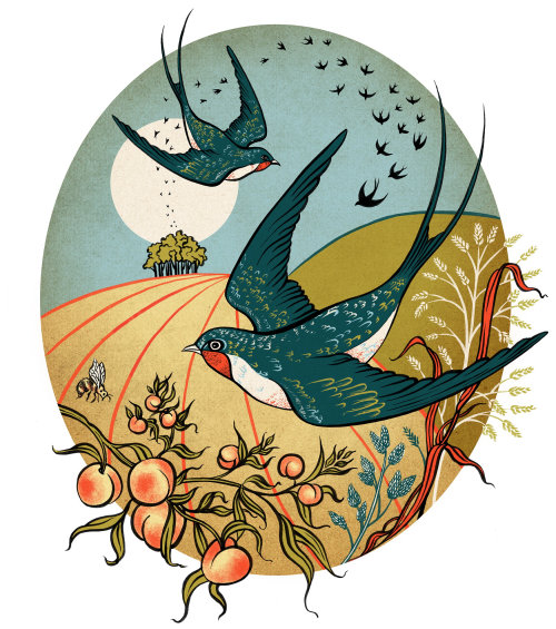 Ilustração de pássaro