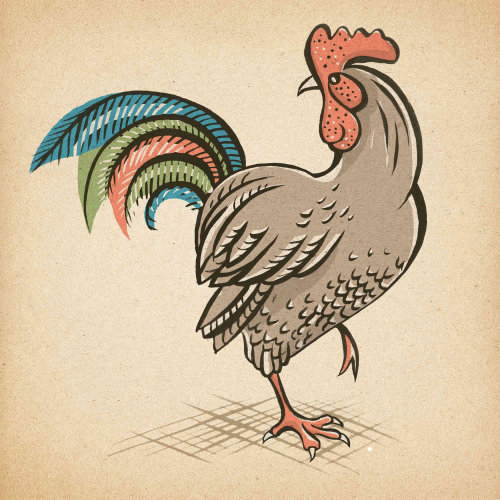 Animals rooster with one leg
