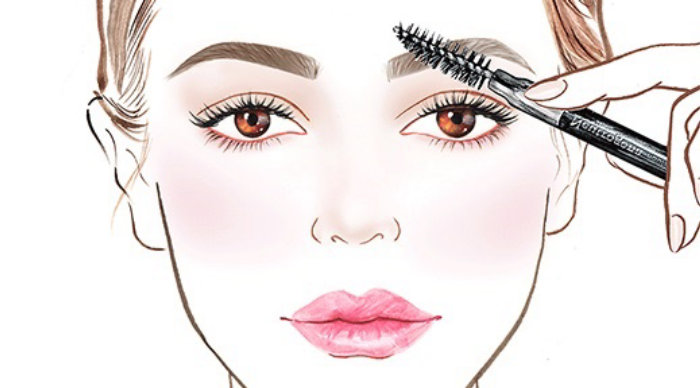 Gif animation of female eyebrows makeup