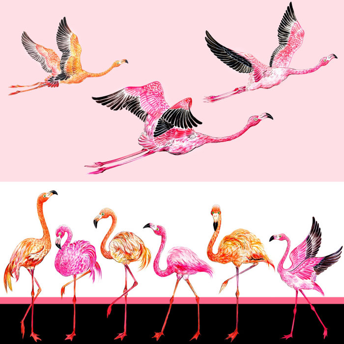 flamingos, birds, flight