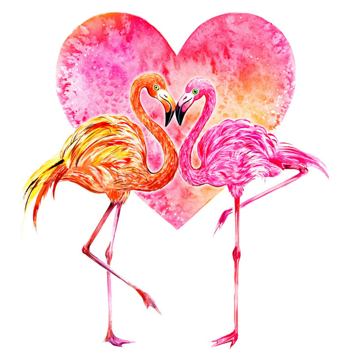 flamingos, birds, LOVE
