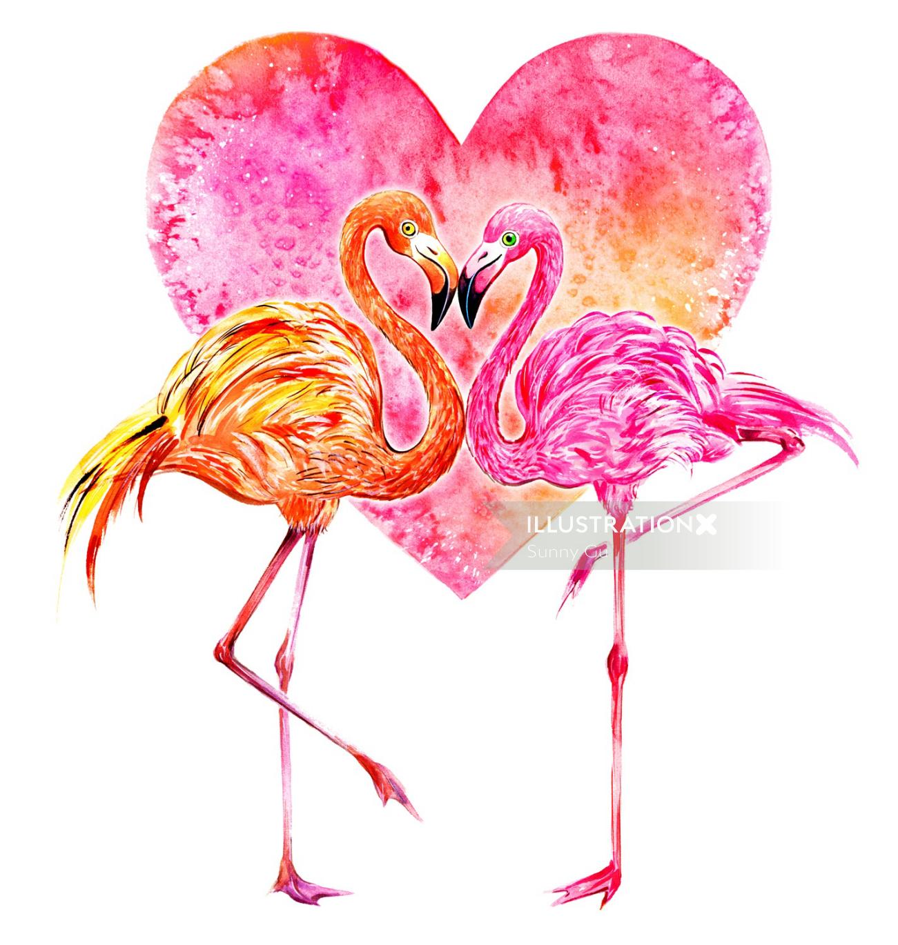 flamingos, pássaros, amor