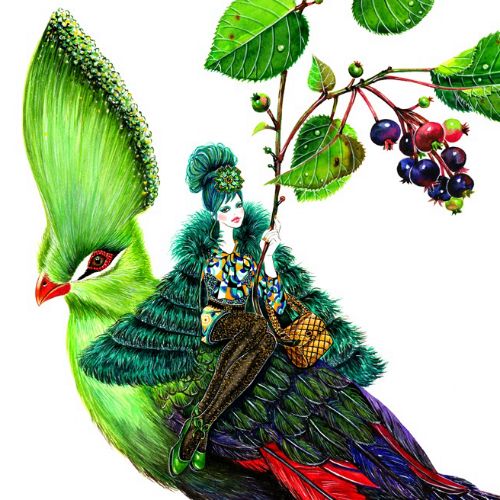 Animals green bird
