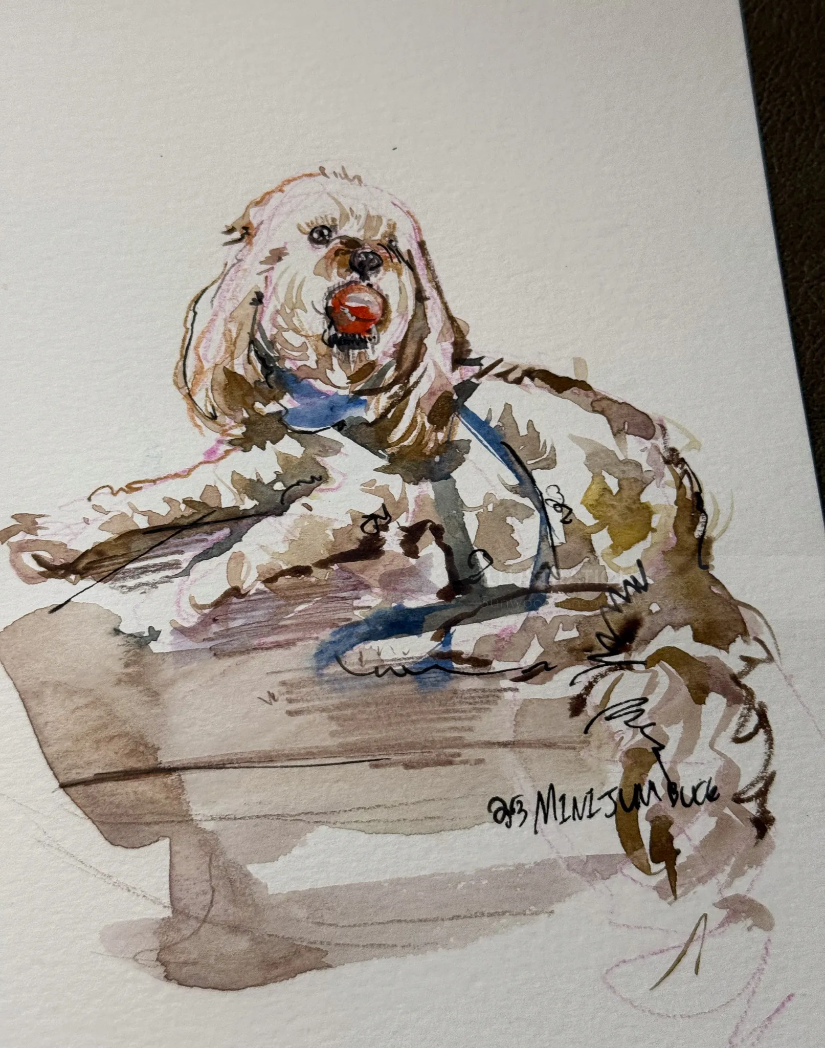 Watercolor illustration of a white dog with brown patches on a couch by Sunwoo Mansour