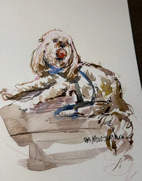 Watercolor illustration of a white dog with brown patches on a couch by Sunwoo Mansour