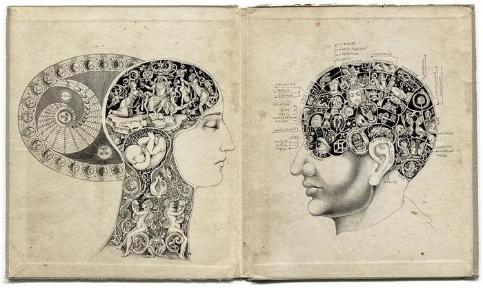 Quack Phrenology Science - Fantasy Art