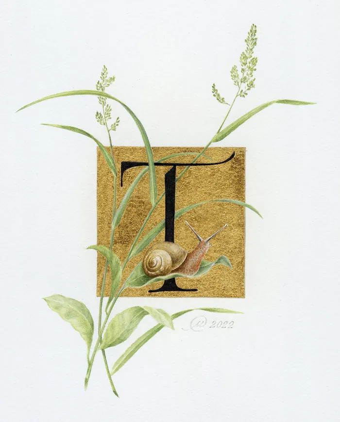 Decorative letter T with snail and green plants by Svetlana Molodchenko