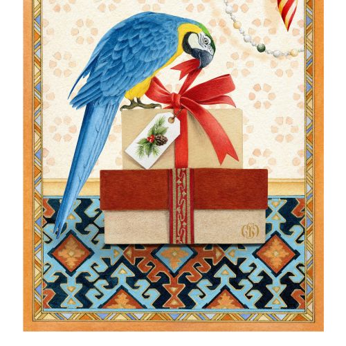 Hand-drawn macaw design for a greeting card